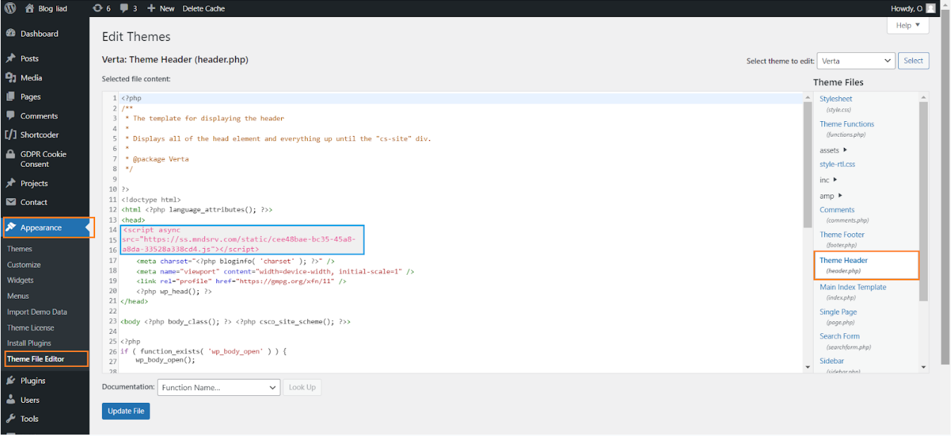 How to integrate the Mondiad ad code into your WordPress website!